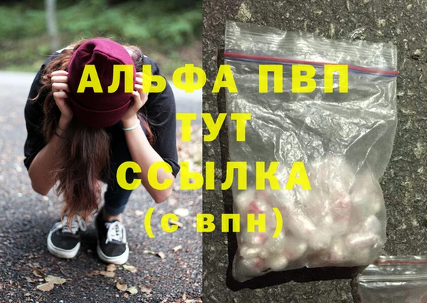 PSILOCYBIN Вязьма